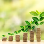 Préstamos verdes o sostenibles: ¿las financieras en Perú ofrecen opciones?