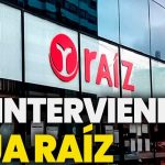 Caja Raíz